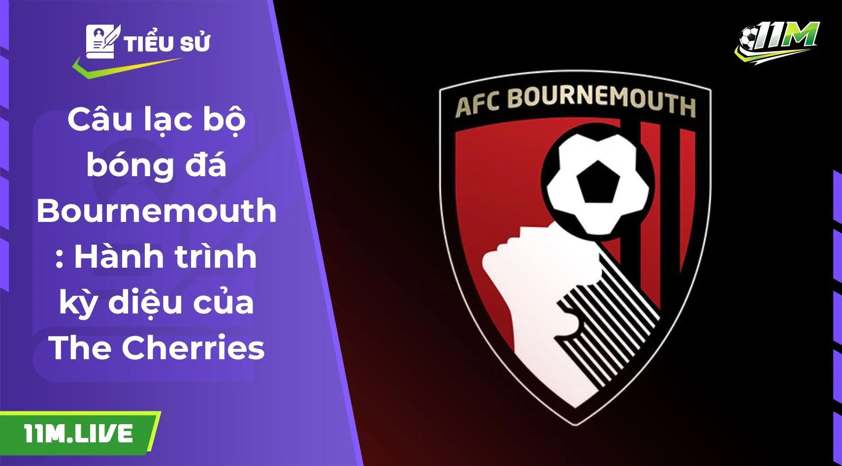 Câu lạc bộ bóng đá Bournemouth: Hành trình kỳ diệu của The Cherries