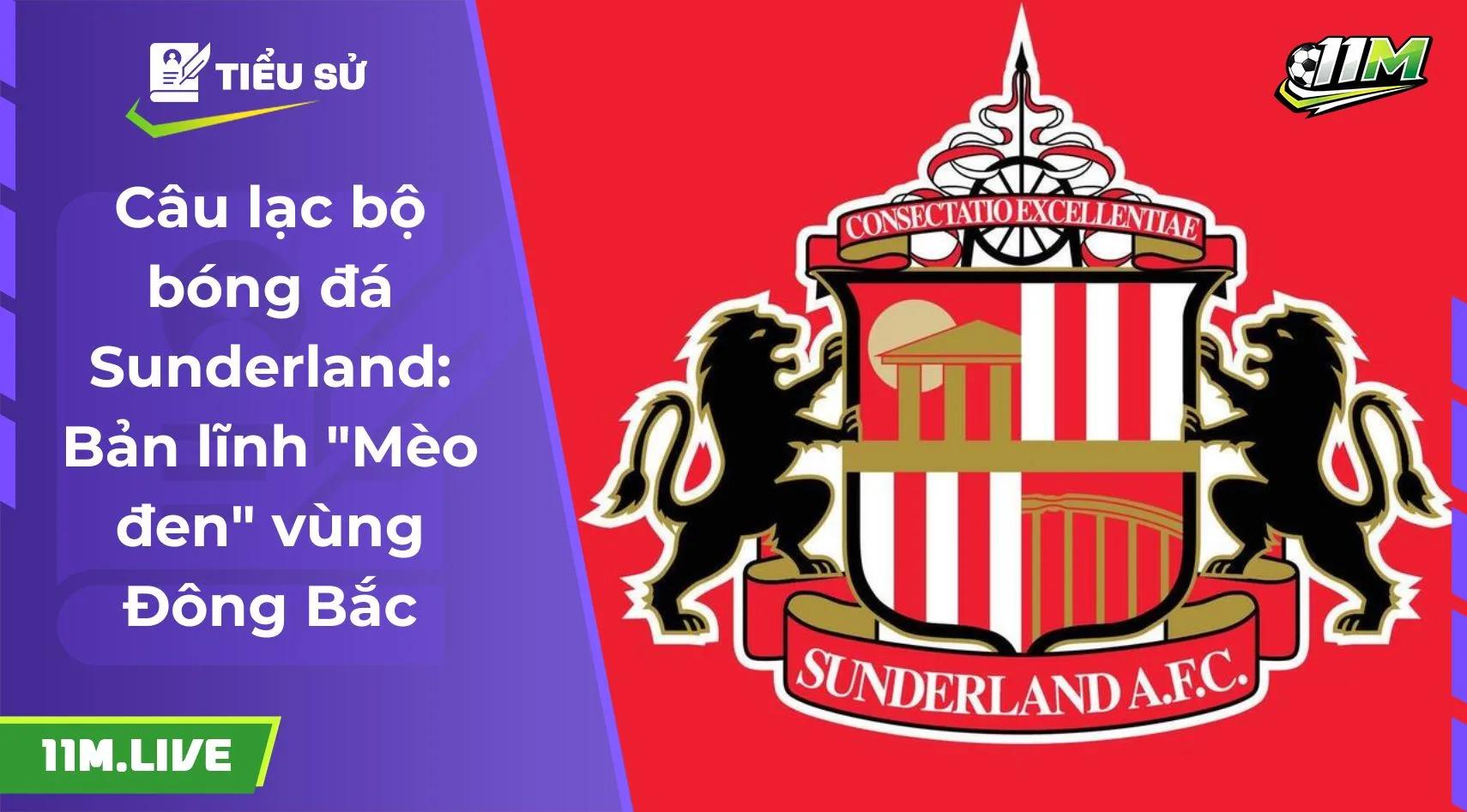 Câu lạc bộ bóng đá Sunderland: Bản lĩnh "Mèo đen" vùng Đông Bắc