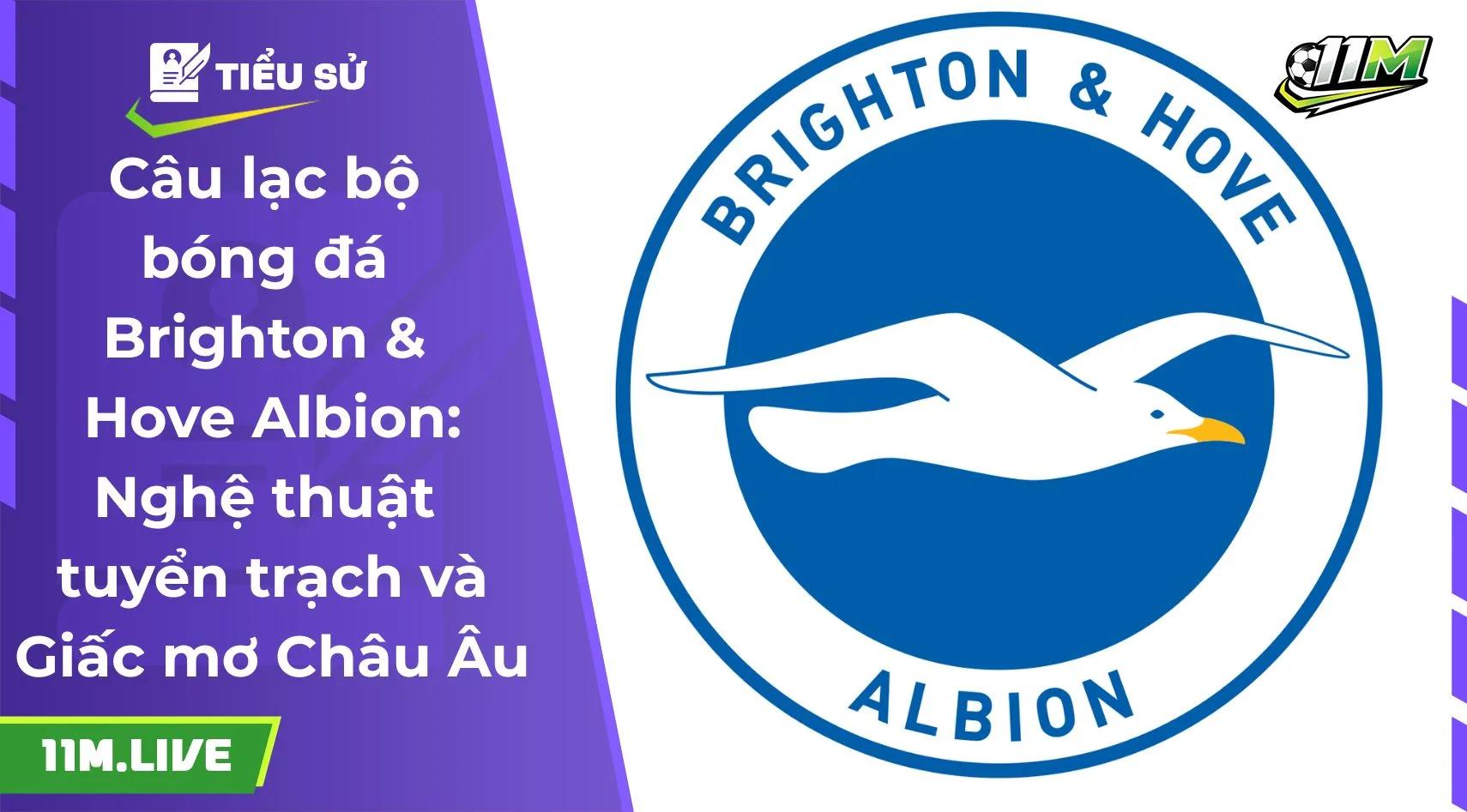 Câu lạc bộ bóng đá Brighton & Hove Albion: Nghệ thuật tuyển trạch và Giấc mơ Châu Âu