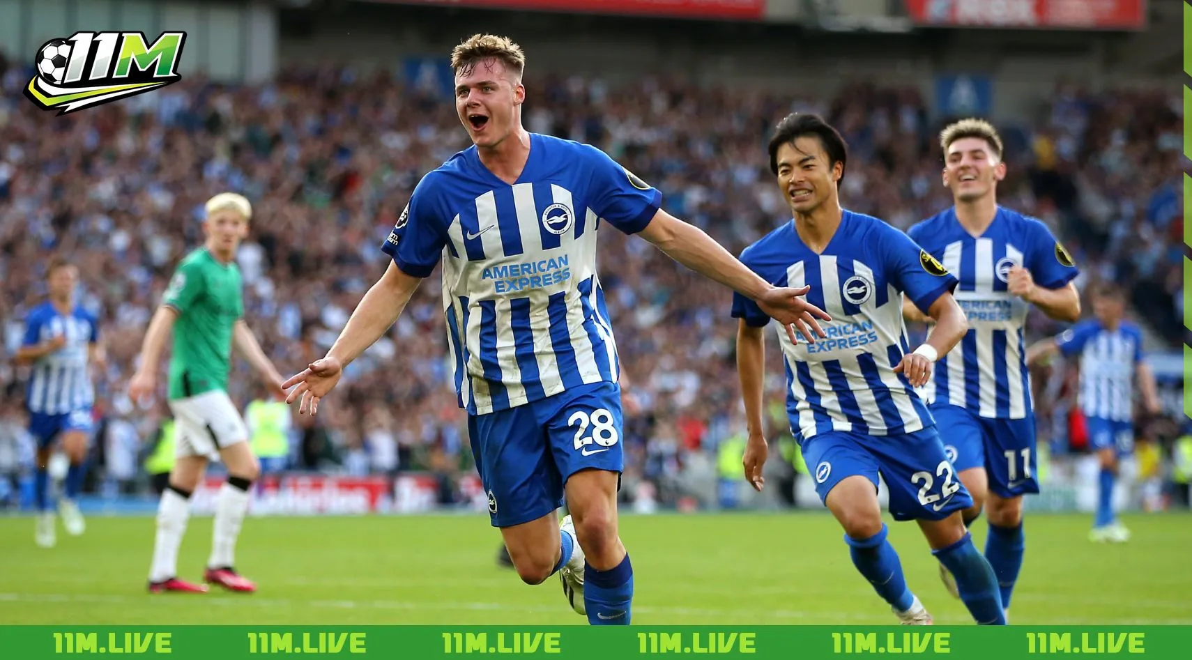 câu lạc bộ bóng đá brighton & hove albion