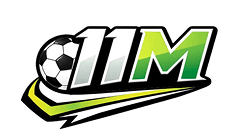11M