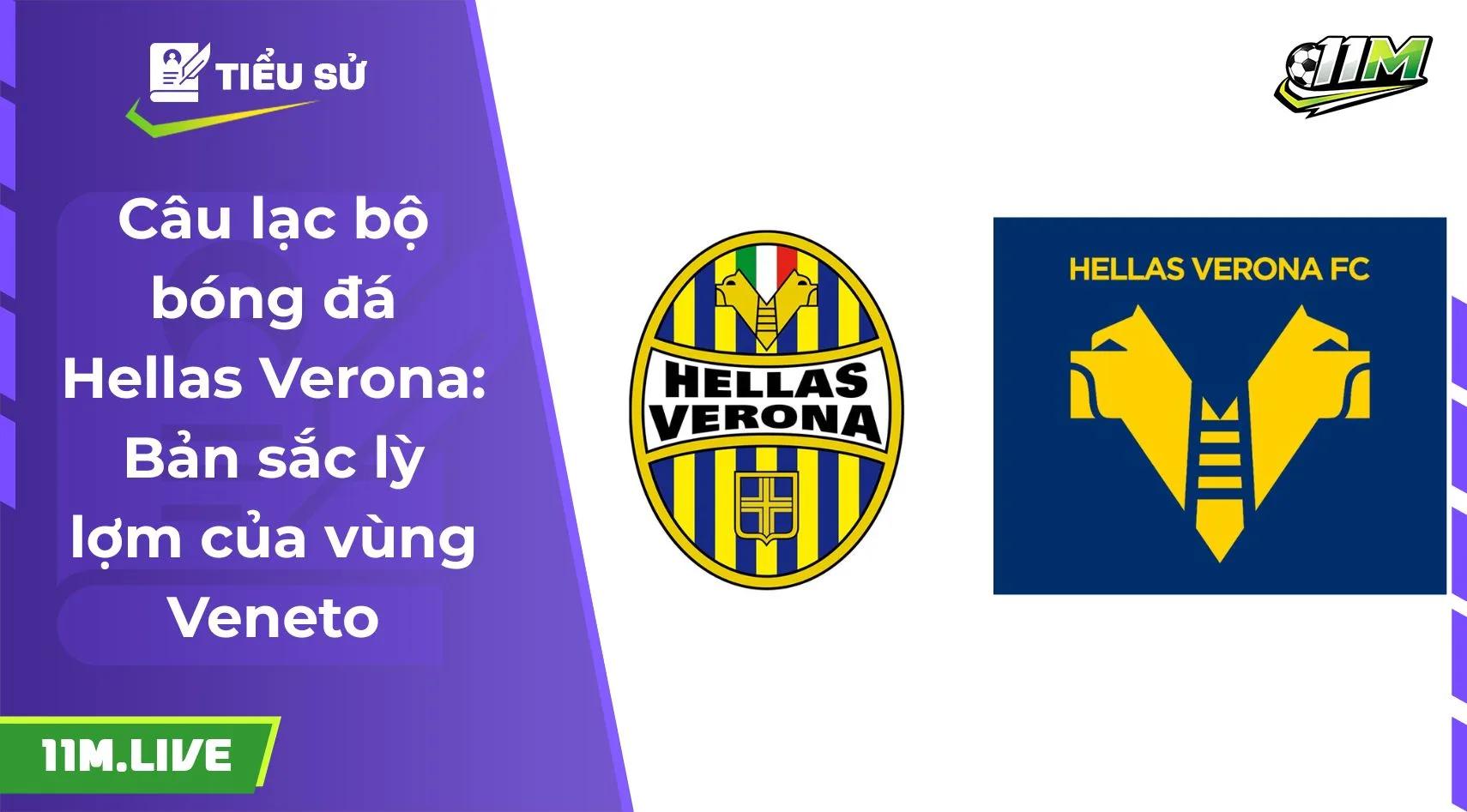 Câu lạc bộ bóng đá Hellas Verona: Bản sắc lỳ lợm của vùng Veneto
