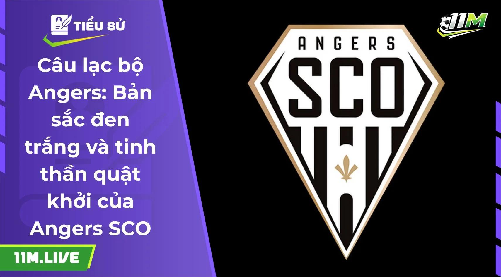 Câu lạc bộ Angers: Bản sắc đen trắng và tinh thần quật khởi của Angers SCO