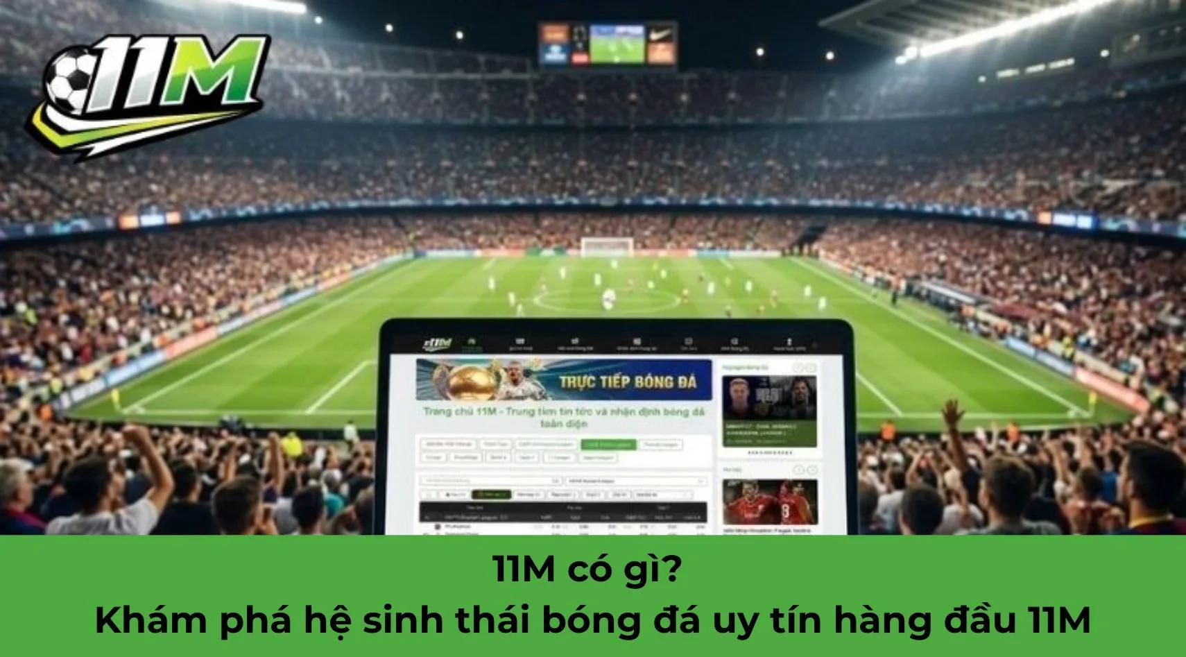 11M có gì? Khám phá hệ sinh thái bóng đá uy tín hàng đầu 11M