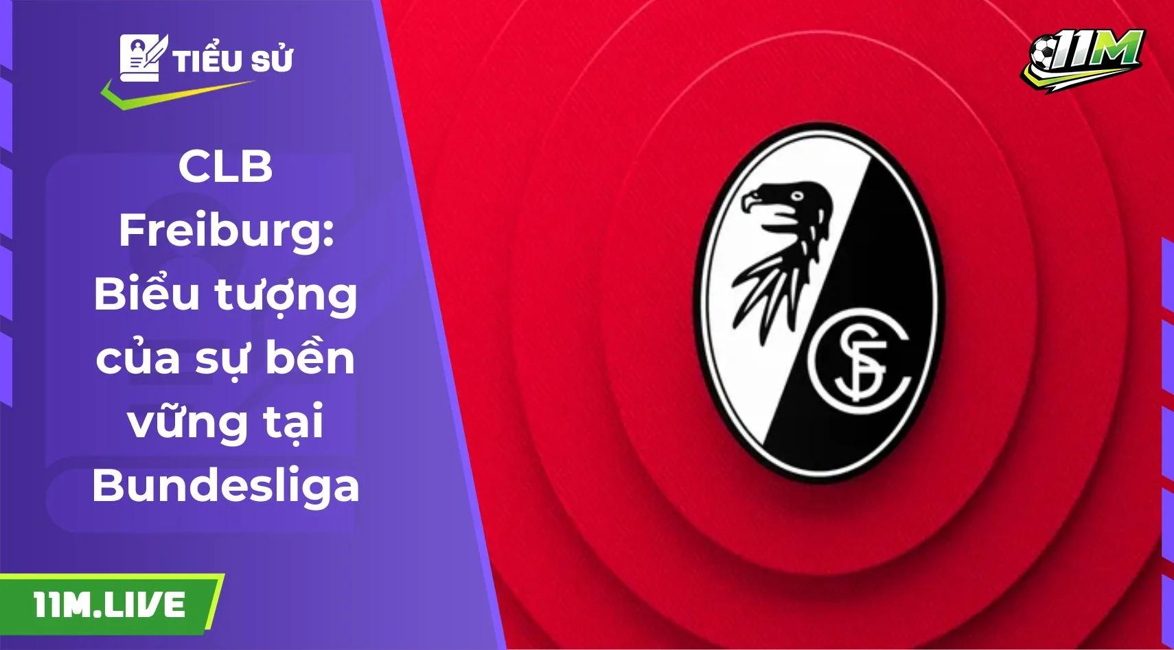 CLB Freiburg: Biểu tượng của sự bền vững tại Bundesliga