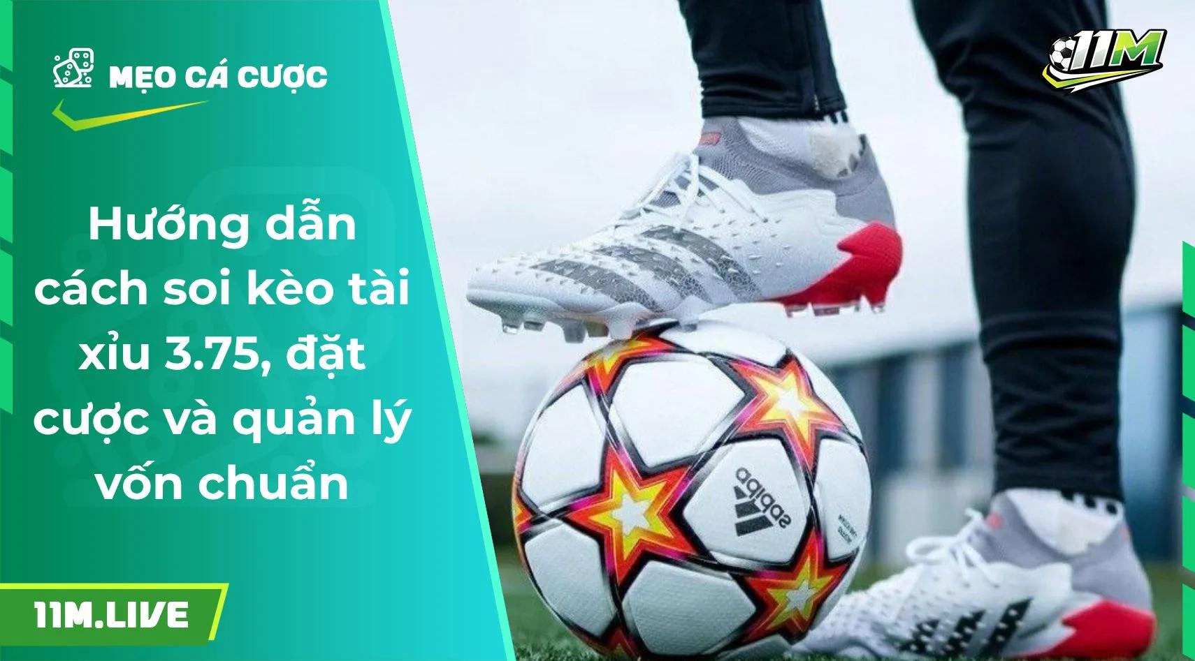 Hướng dẫn cách soi kèo tài xỉu 3.75, đặt cược và quản lý vốn