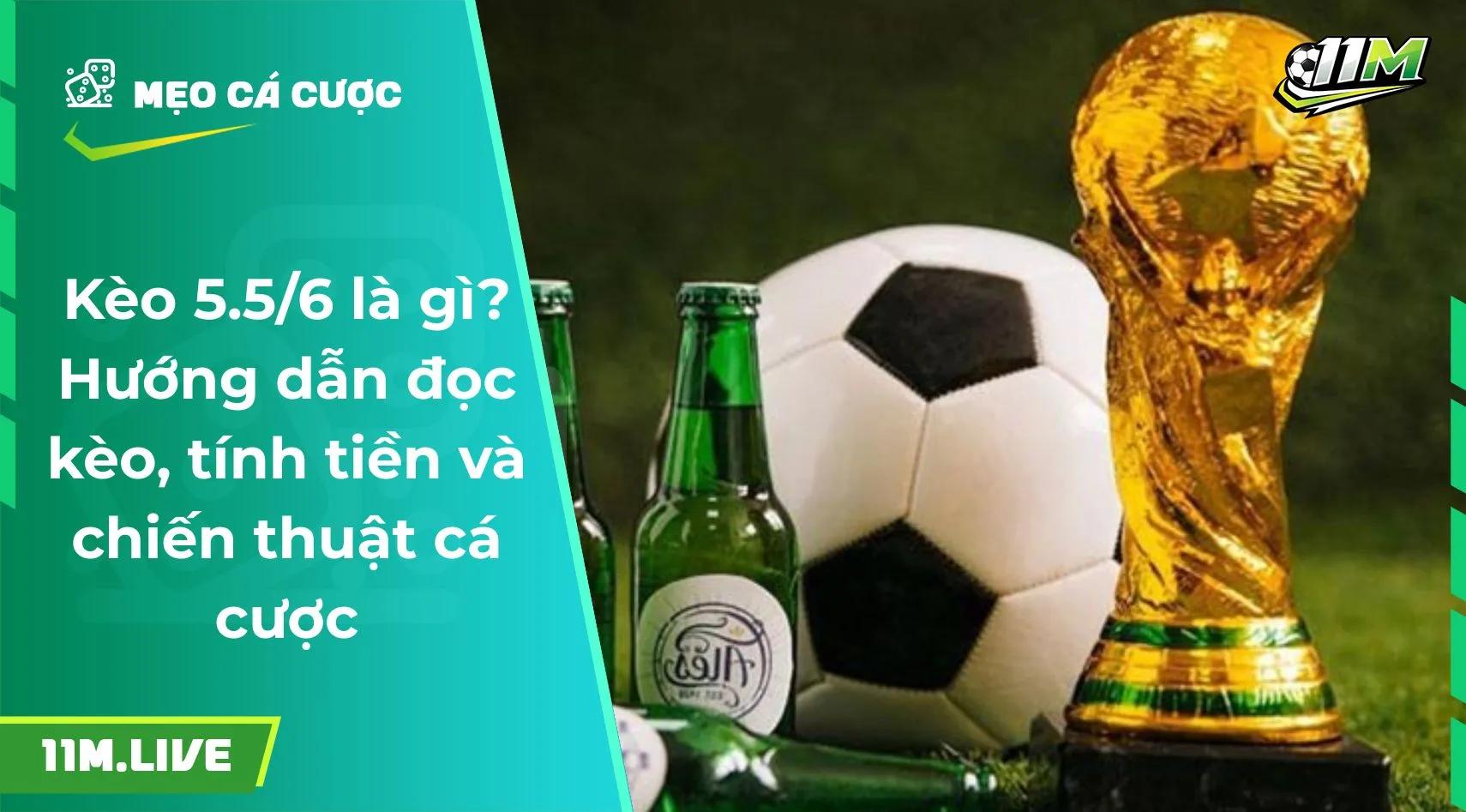Kèo 5.5/6 là gì? Hướng dẫn đọc kèo, tính tiền và chiến thuật cá cược