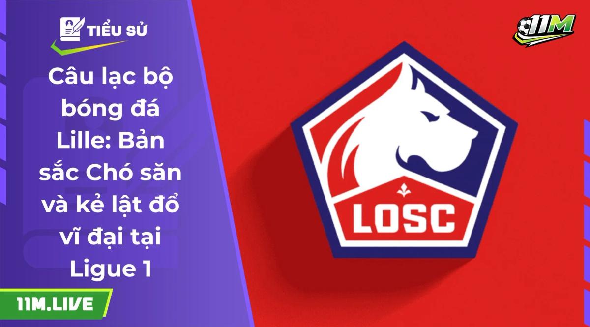 câu lạc bộ bóng đá Lille