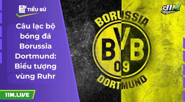 câu lạc bộ bóng đá borussia dortmund