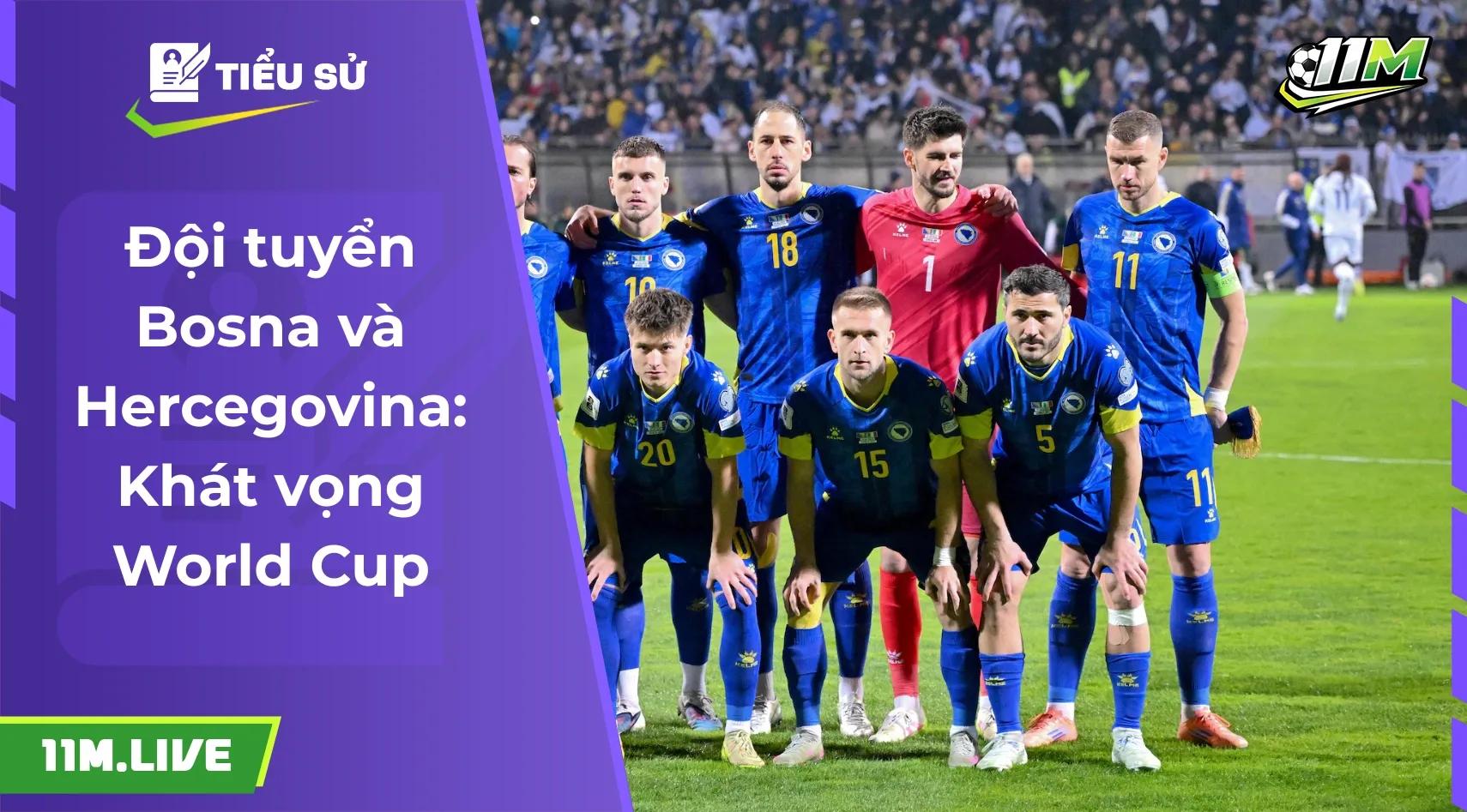 Đội tuyển bóng đá quốc gia Bosna và Hercegovina: Khát vọng vươn mình từ tro tàn