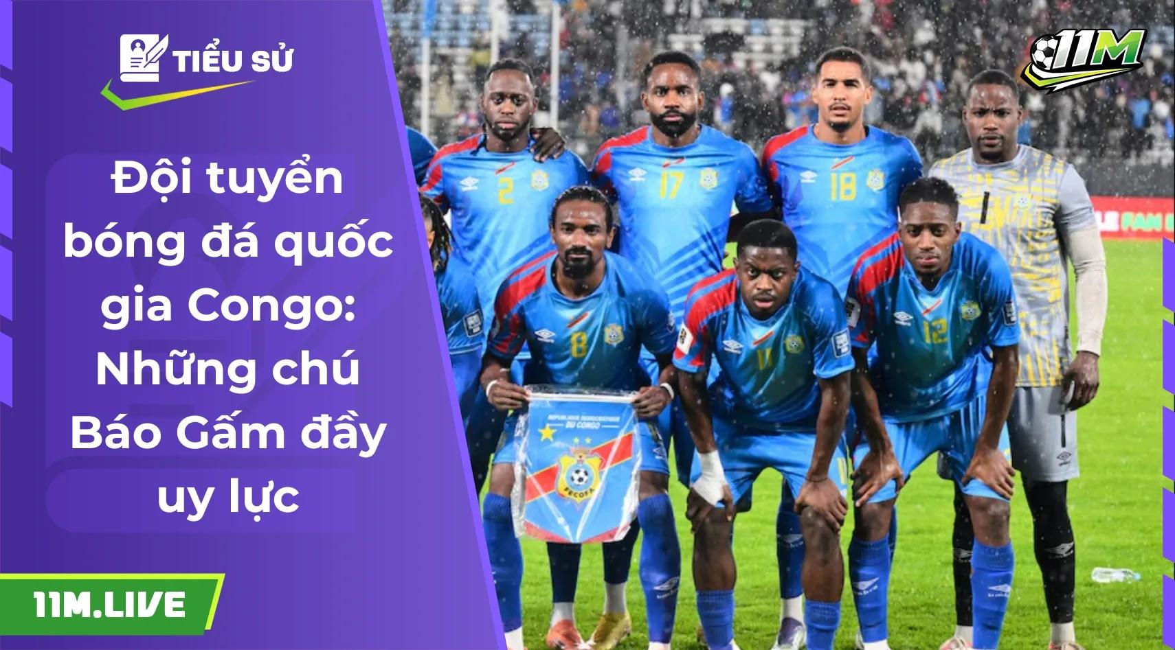 Đội tuyển bóng đá quốc gia Congo: Những chú Báo Gấm đầy uy lực