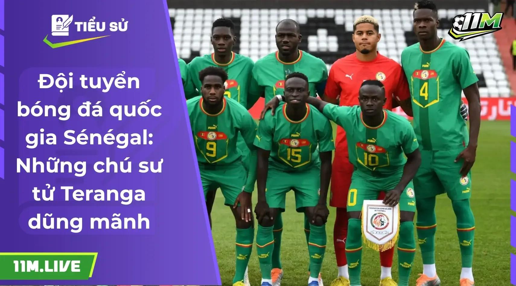Đội tuyển bóng đá quốc gia Sénégal: Niềm kiêu hãnh của những chú sư tử Teranga