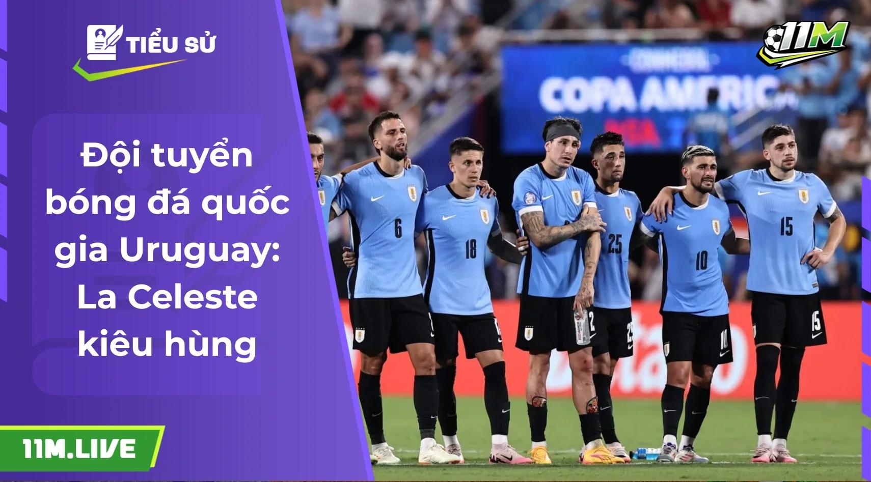 Đội tuyển bóng đá quốc gia Uruguay: "La Celeste" và tinh thần bất diệt