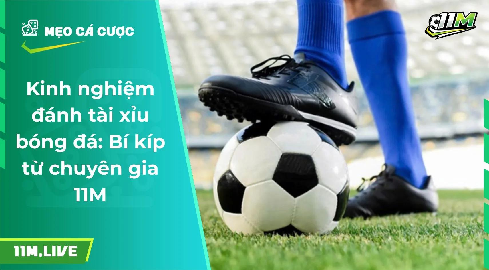 Kinh nghiệm đánh tài xỉu bóng đá: Bí kíp từ chuyên gia 11M