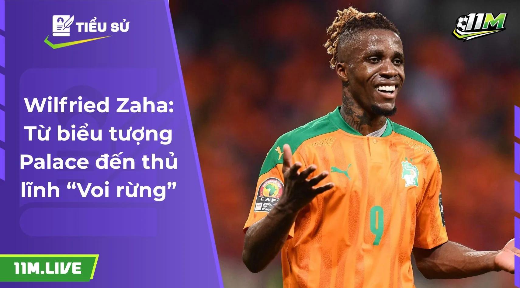 Wilfried Zaha: Từ biểu tượng Palace đến thủ lĩnh “Voi rừng”