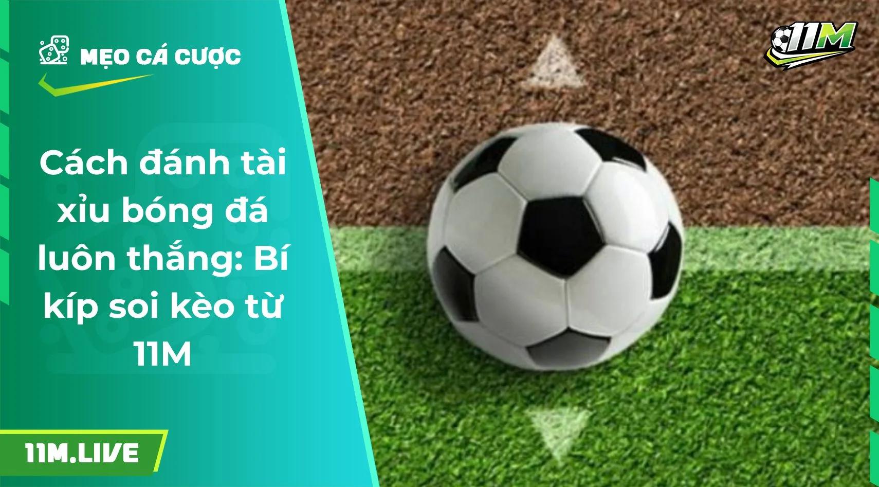 Cách đánh tài xỉu bóng đá luôn thắng: Bí kíp soi kèo từ 11M