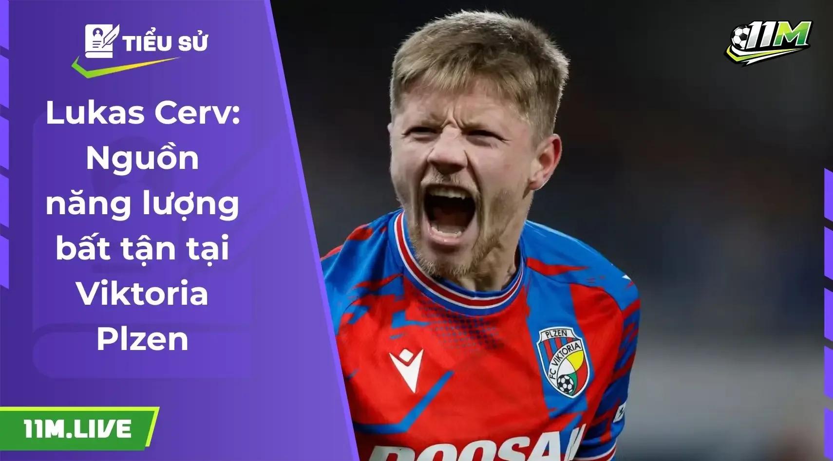 Lukas Cerv: Nguồn năng lượng bất tận tại Viktoria Plzen và tuyển Séc