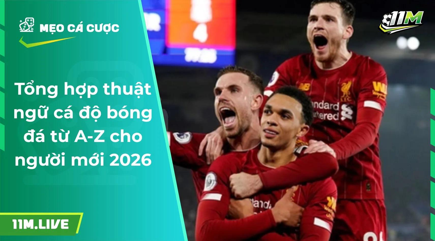 Tổng hợp thuật ngữ cá độ bóng đá từ A-Z cho người mới 2026