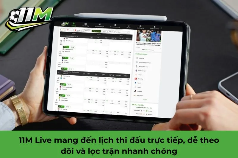 11M live là gì