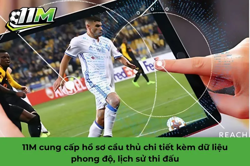 11M là gì
