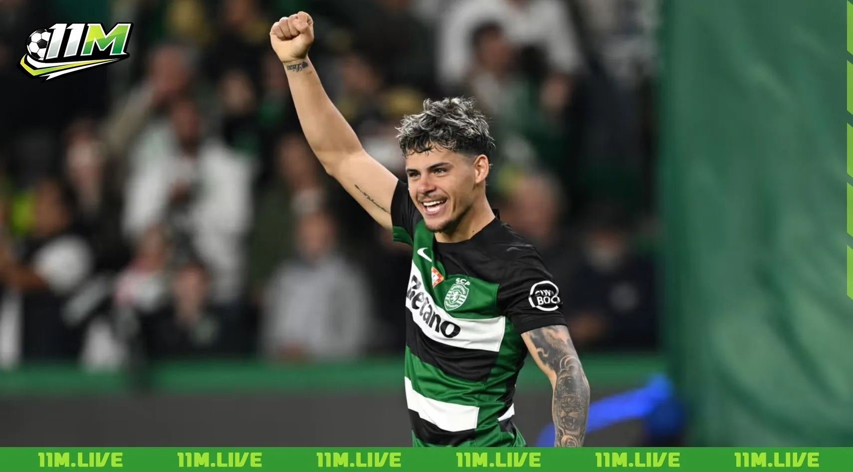 maximiliano araújo