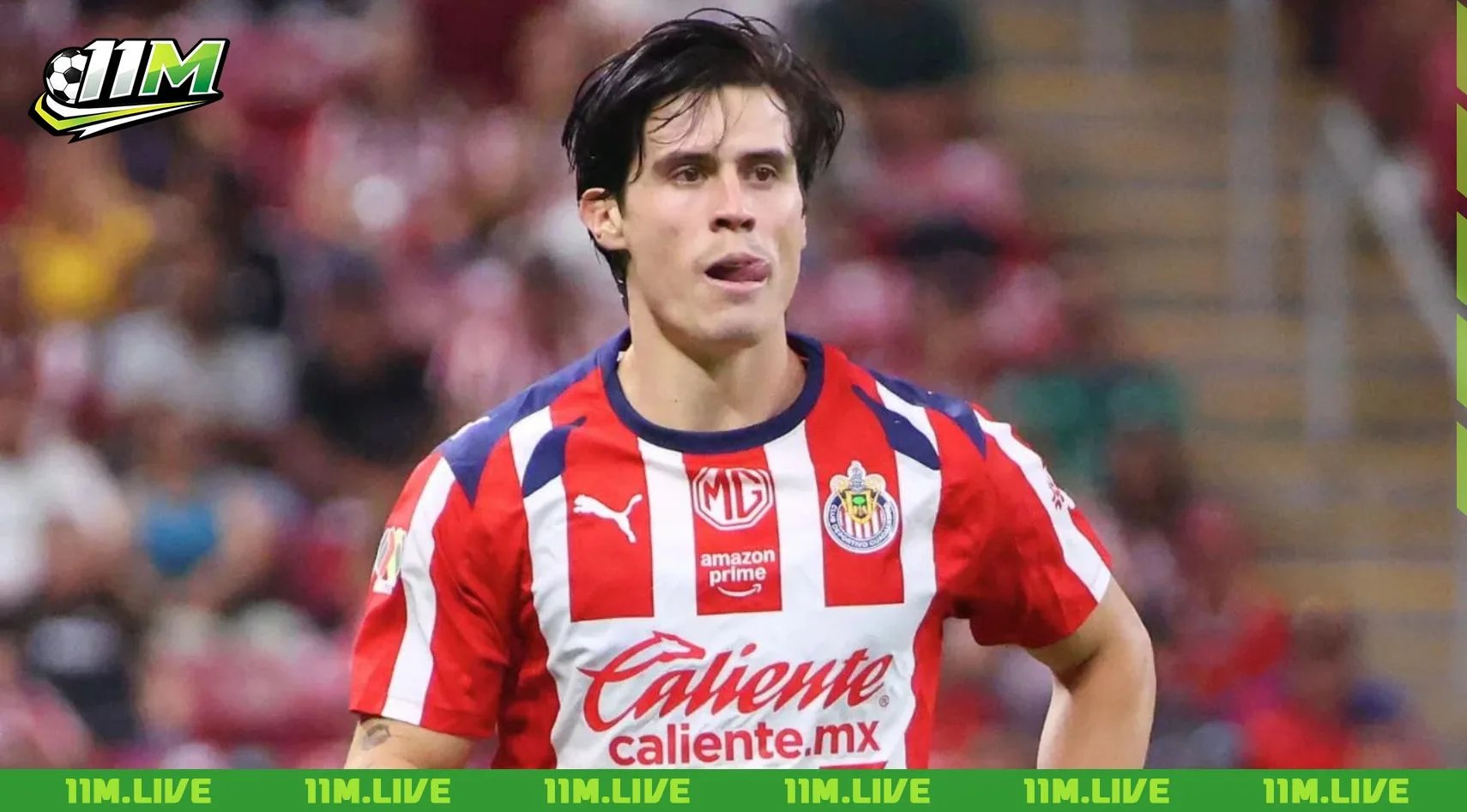 diego campillo