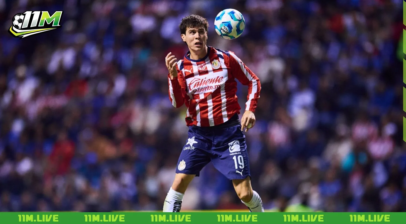 diego campillo