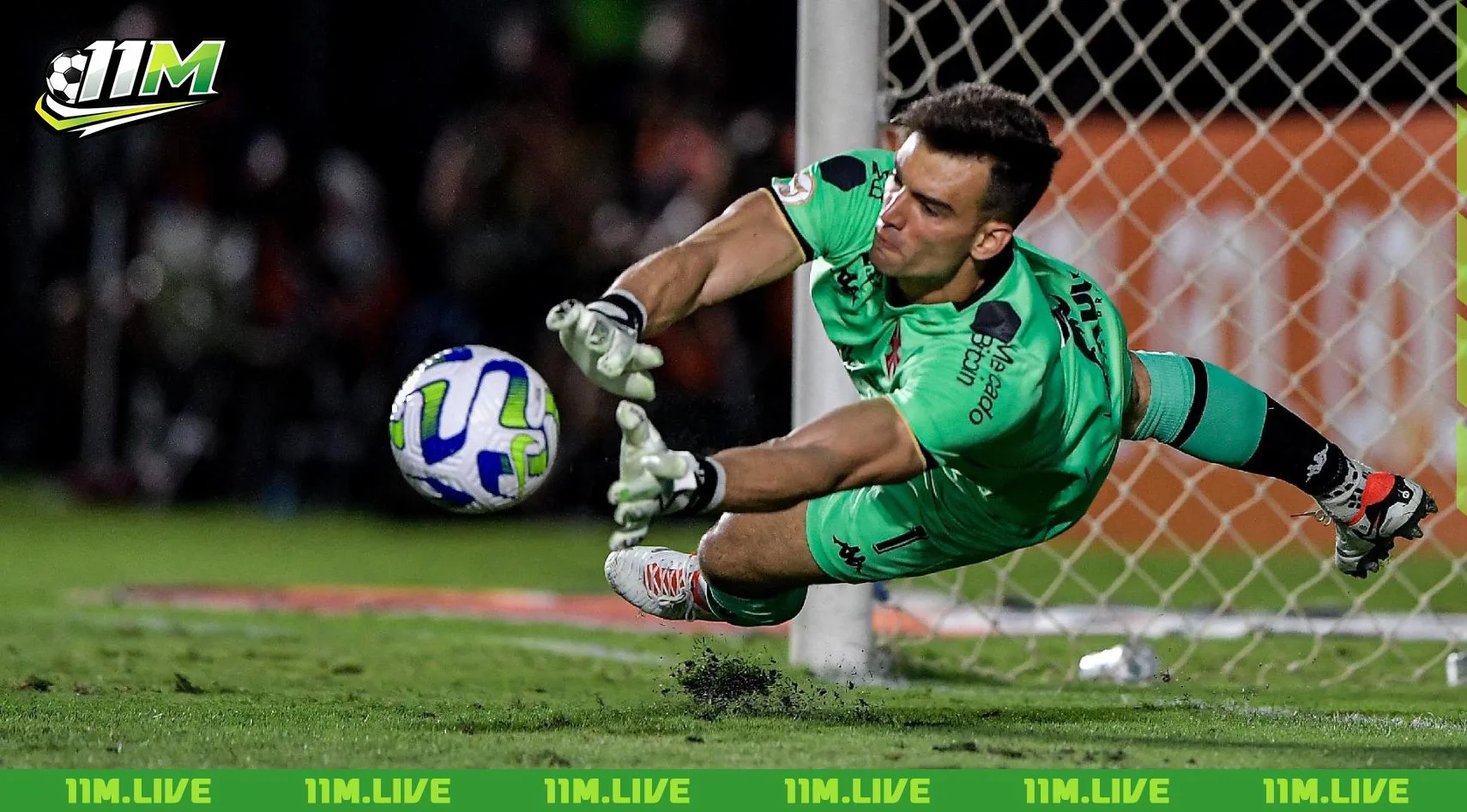 leo jardim