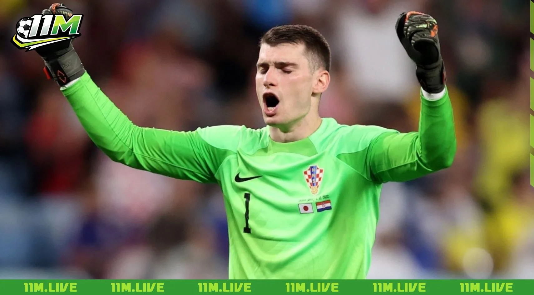 dominik livakovic