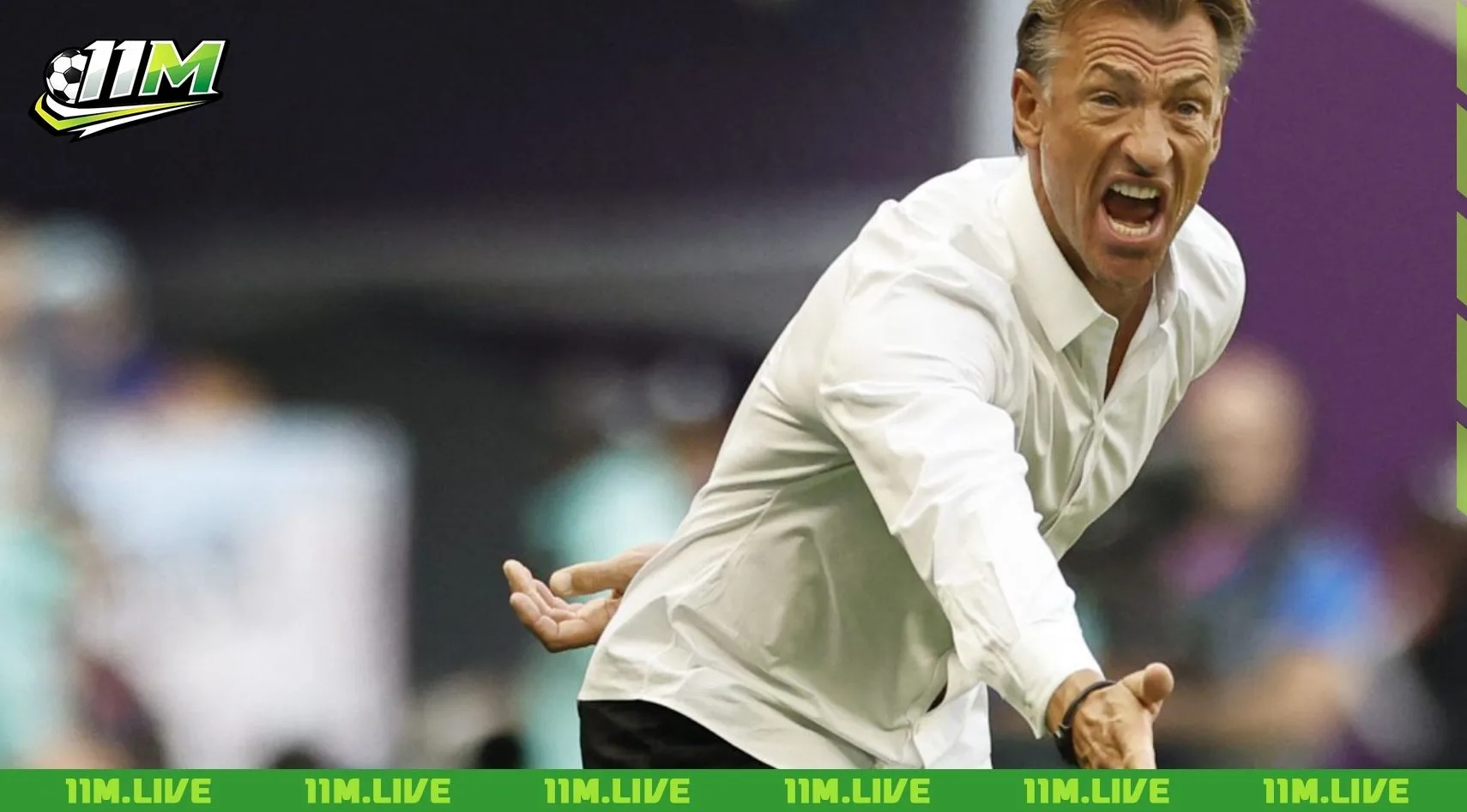 herve renard