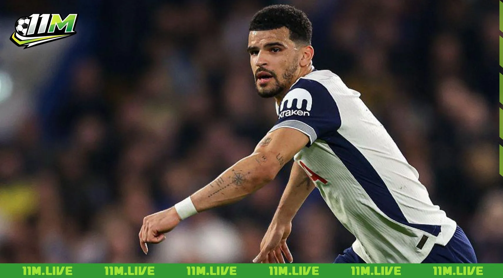 dominic solanke