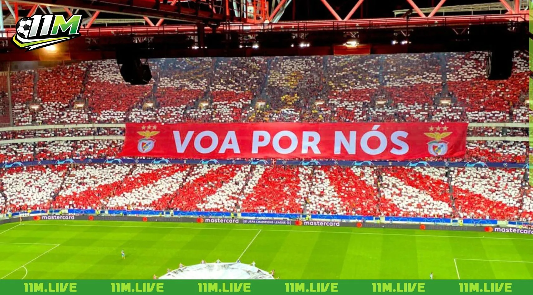estadio da luz