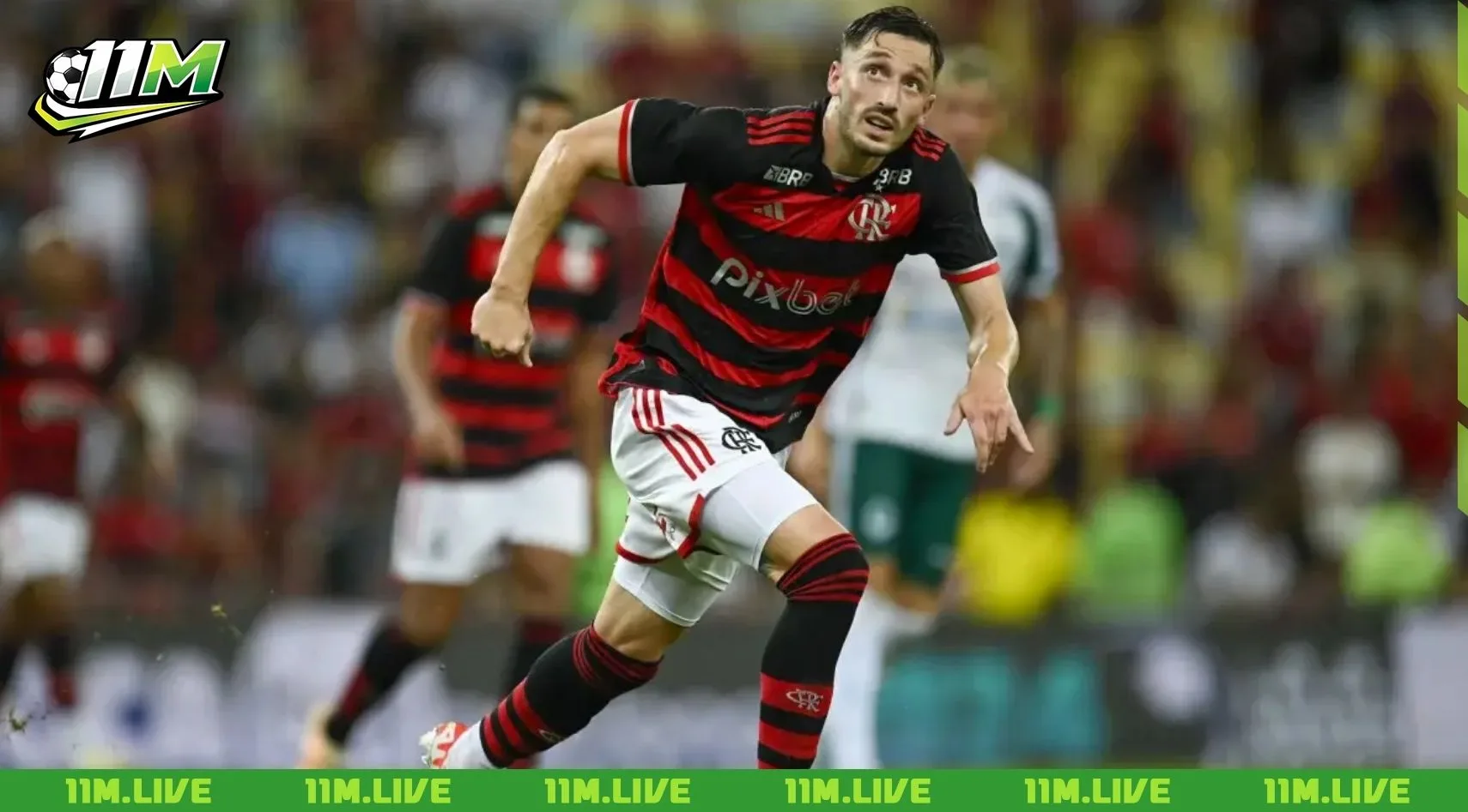 matias vina