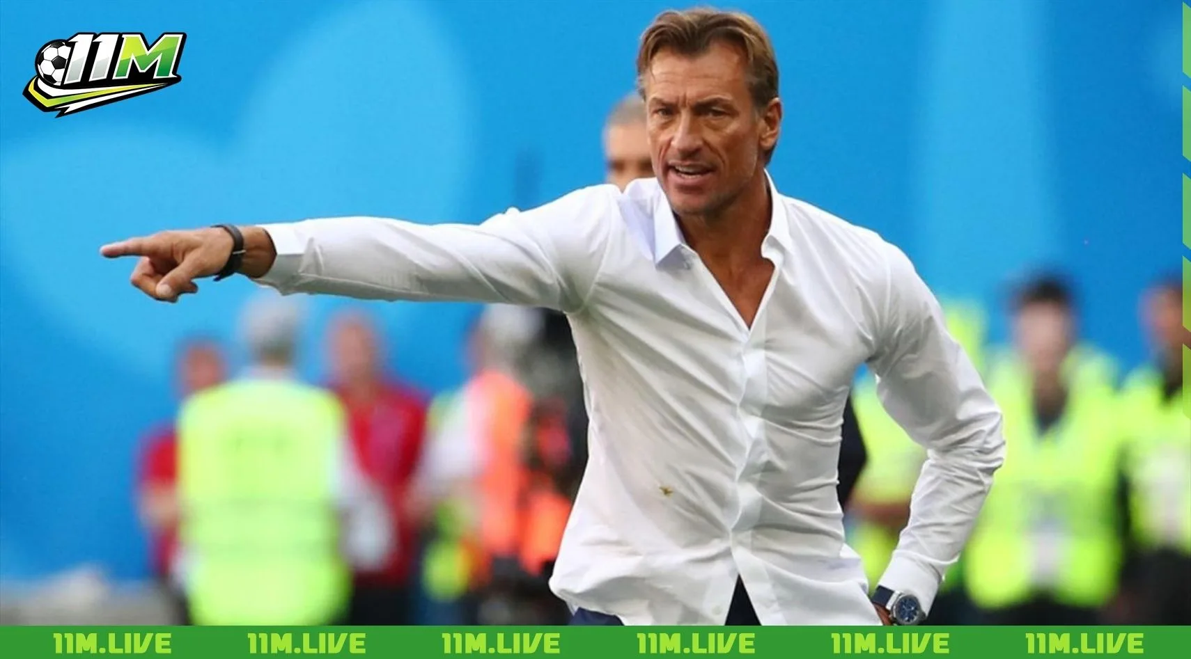 herve renard