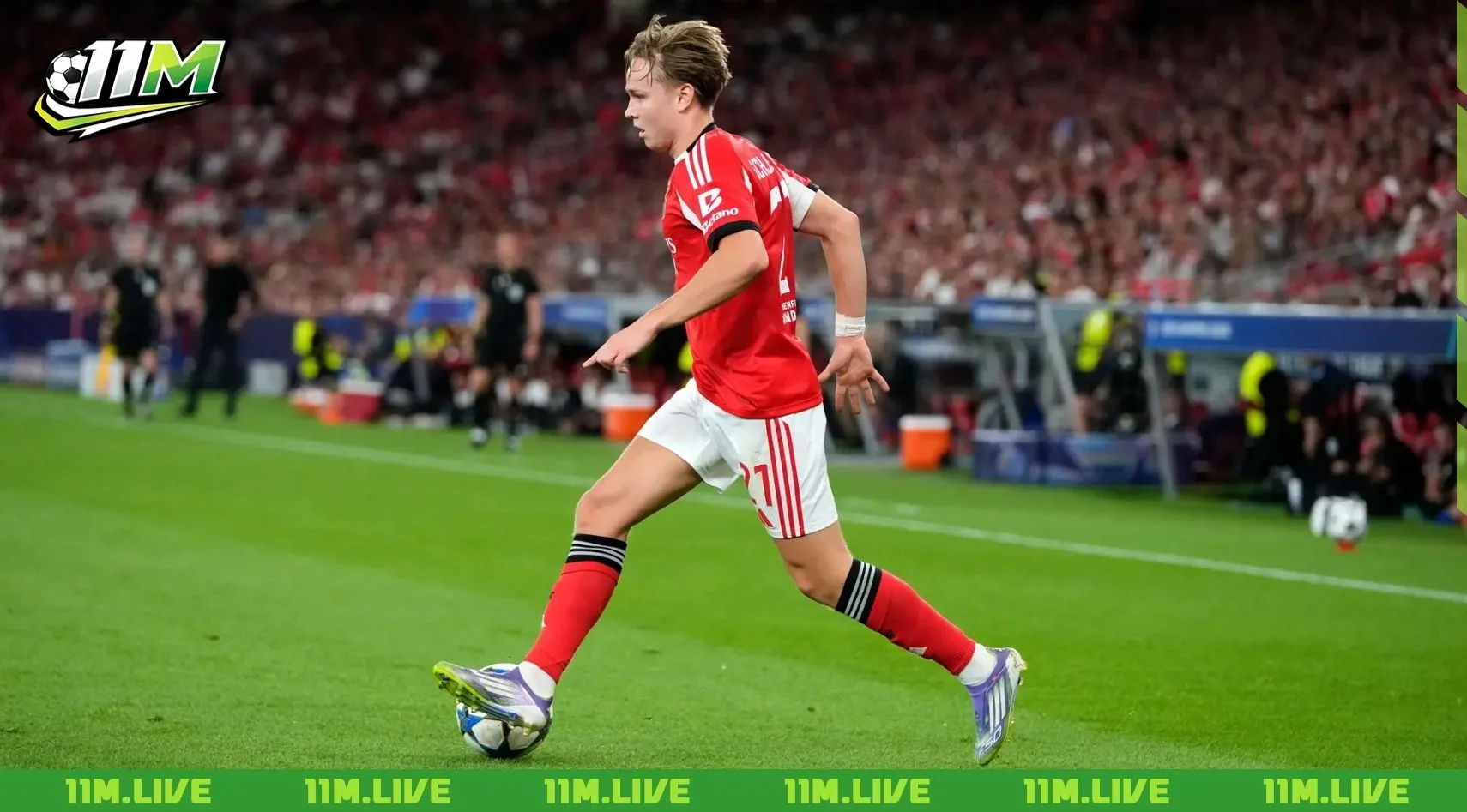 andreas schjelderup