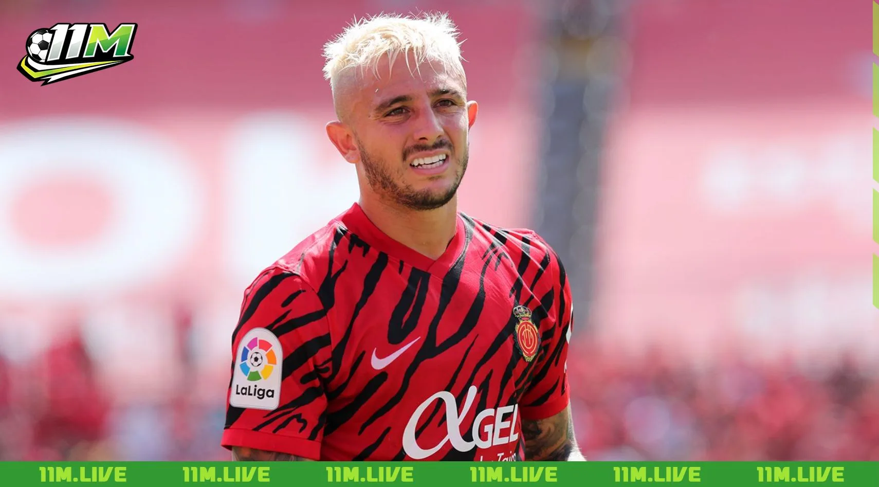 pablo maffeo
