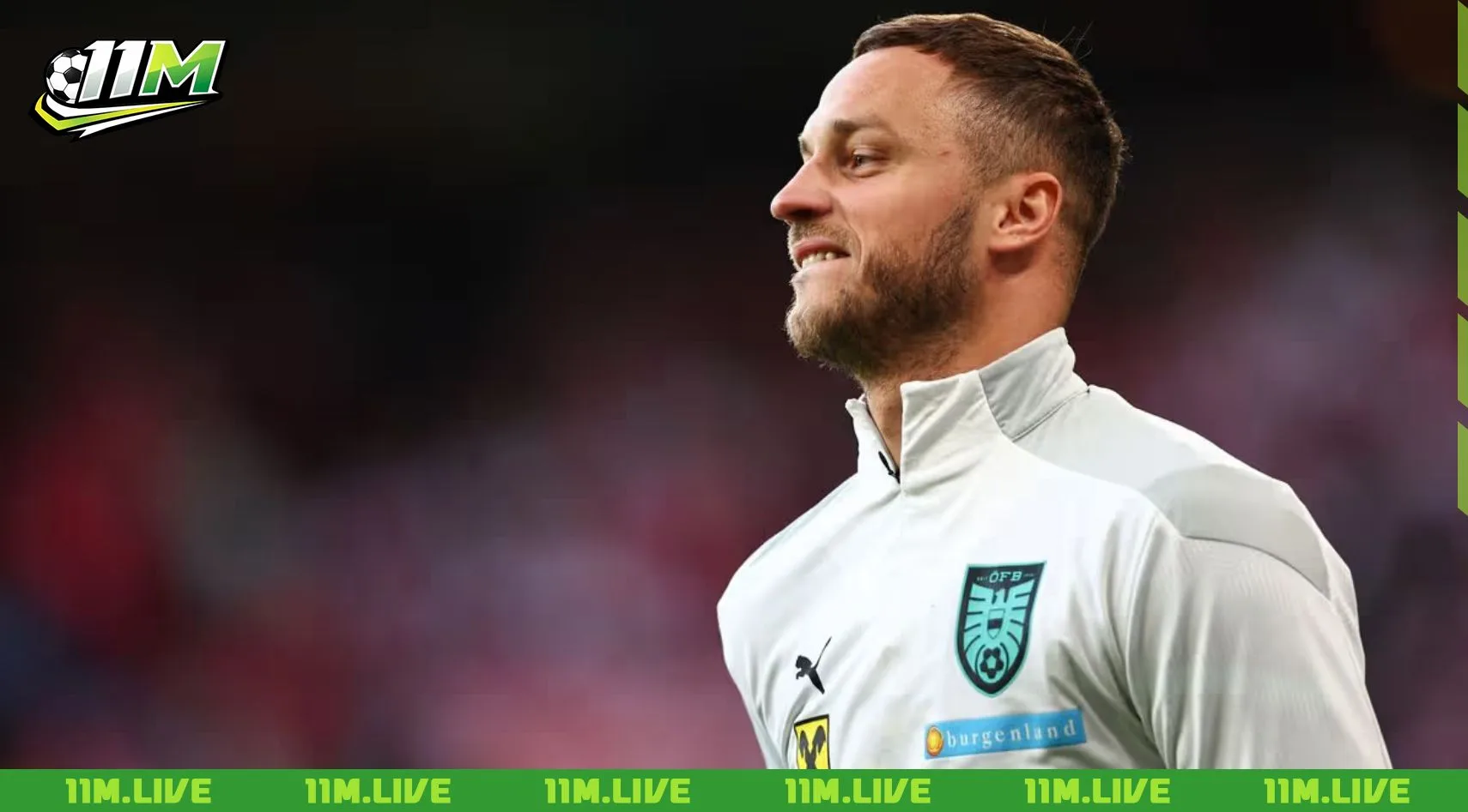 marko arnautovic