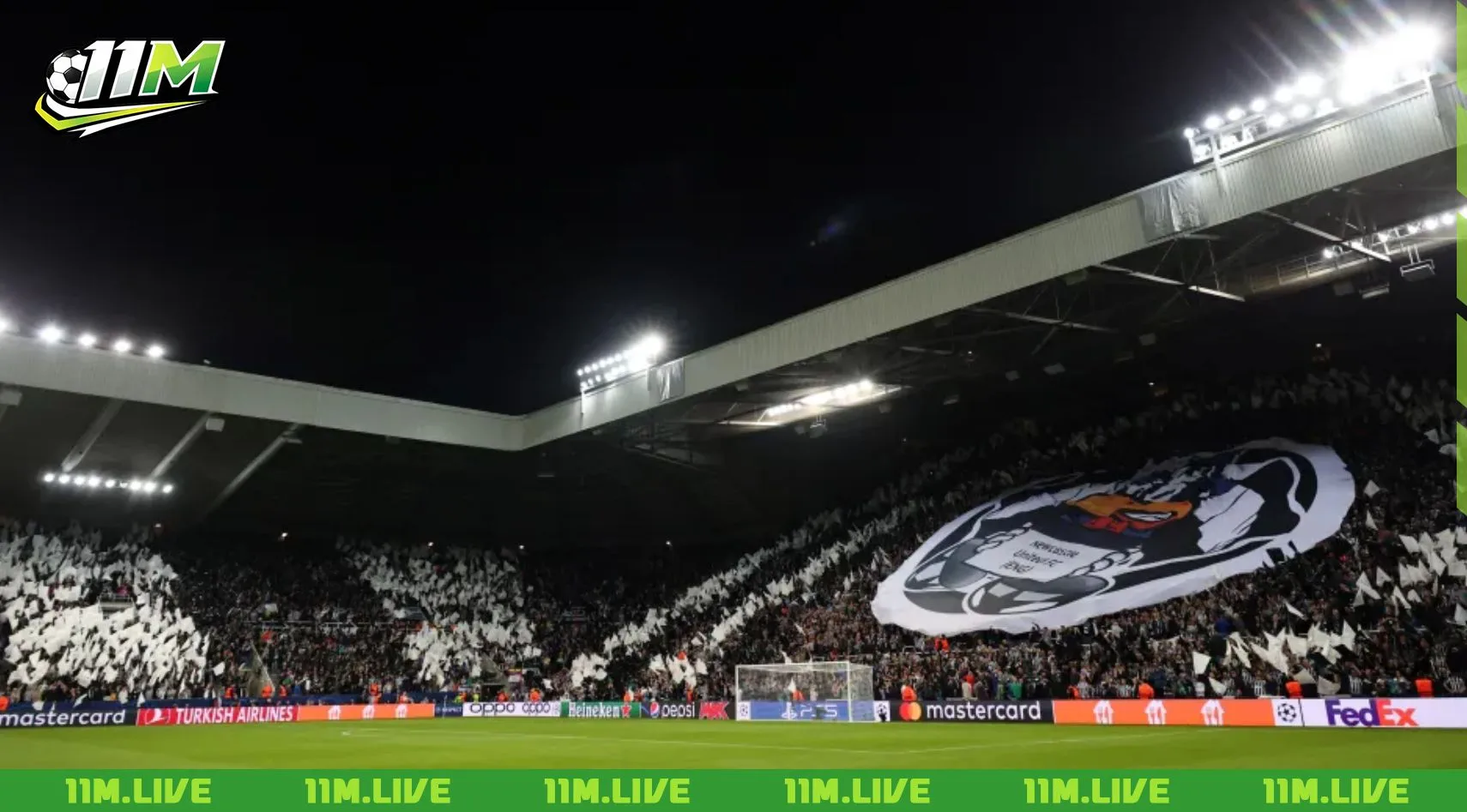 st james' park