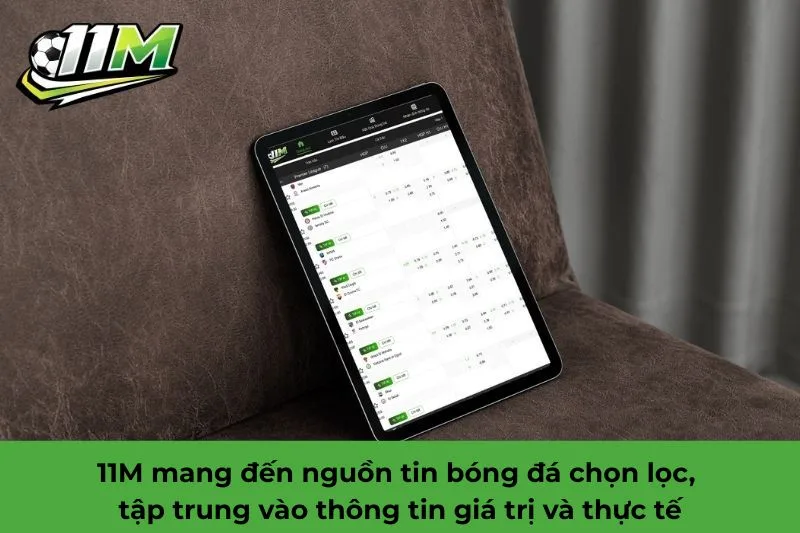 11M là gì