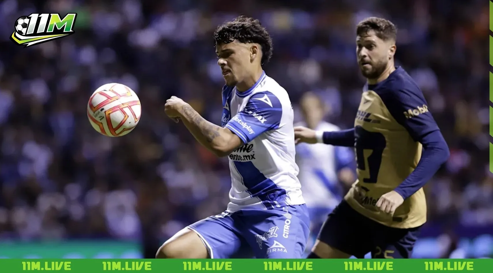 maximiliano araújo
