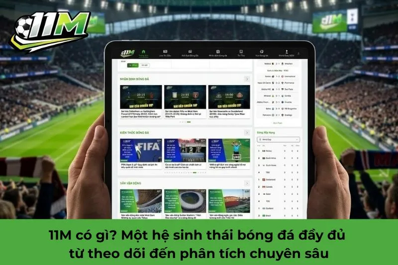 11M có gì
