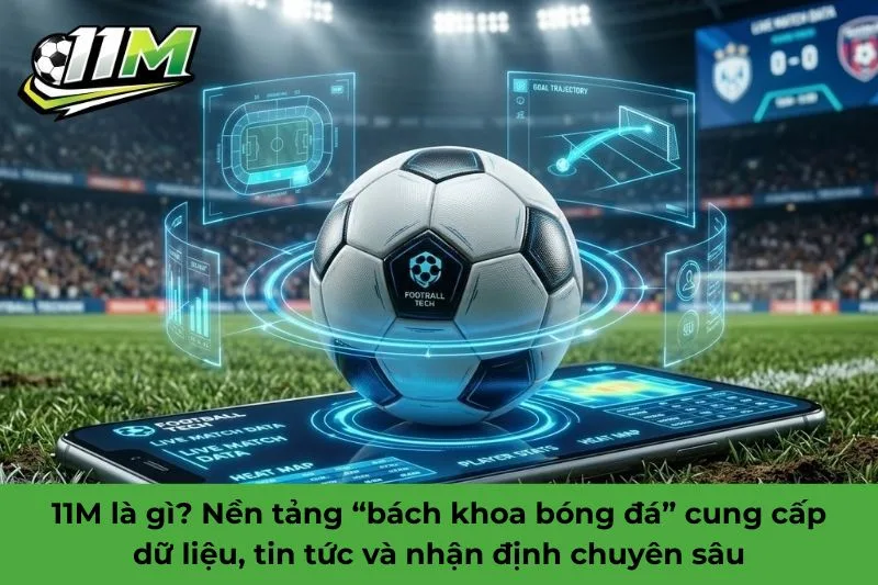 11M là gì