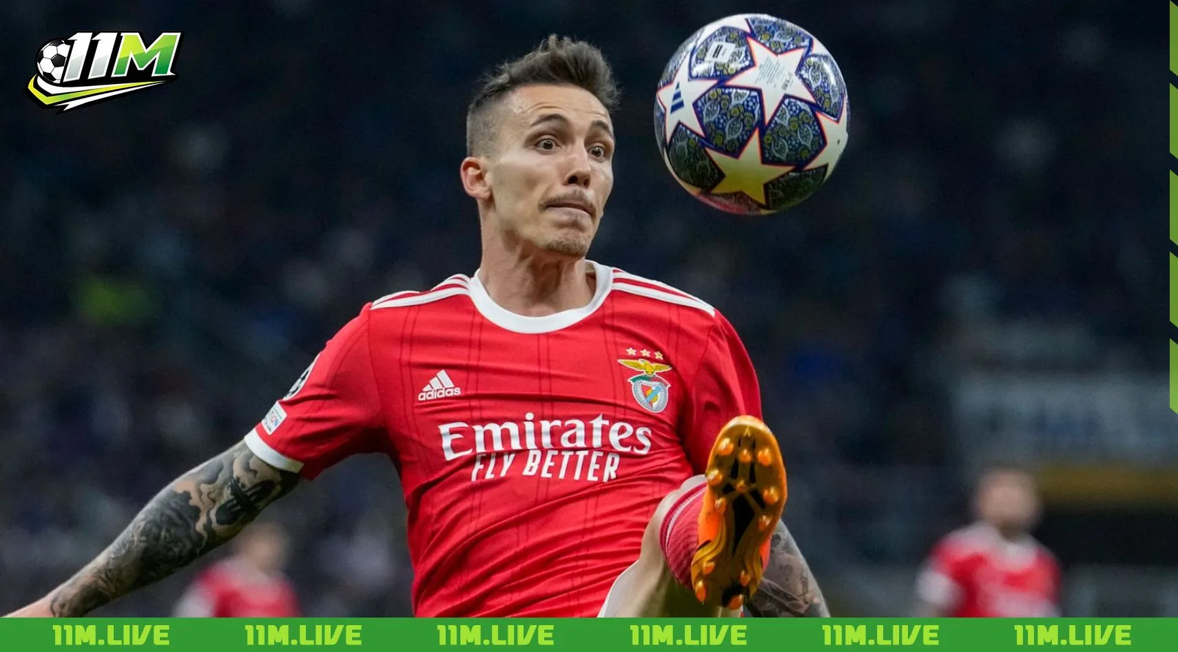 alex grimaldo