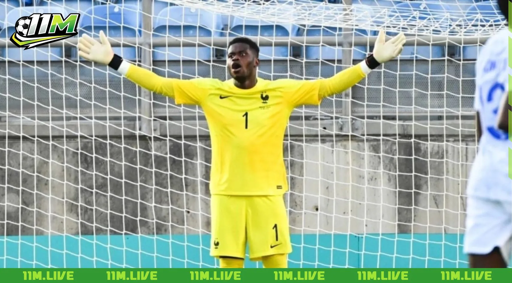 Brice Samba