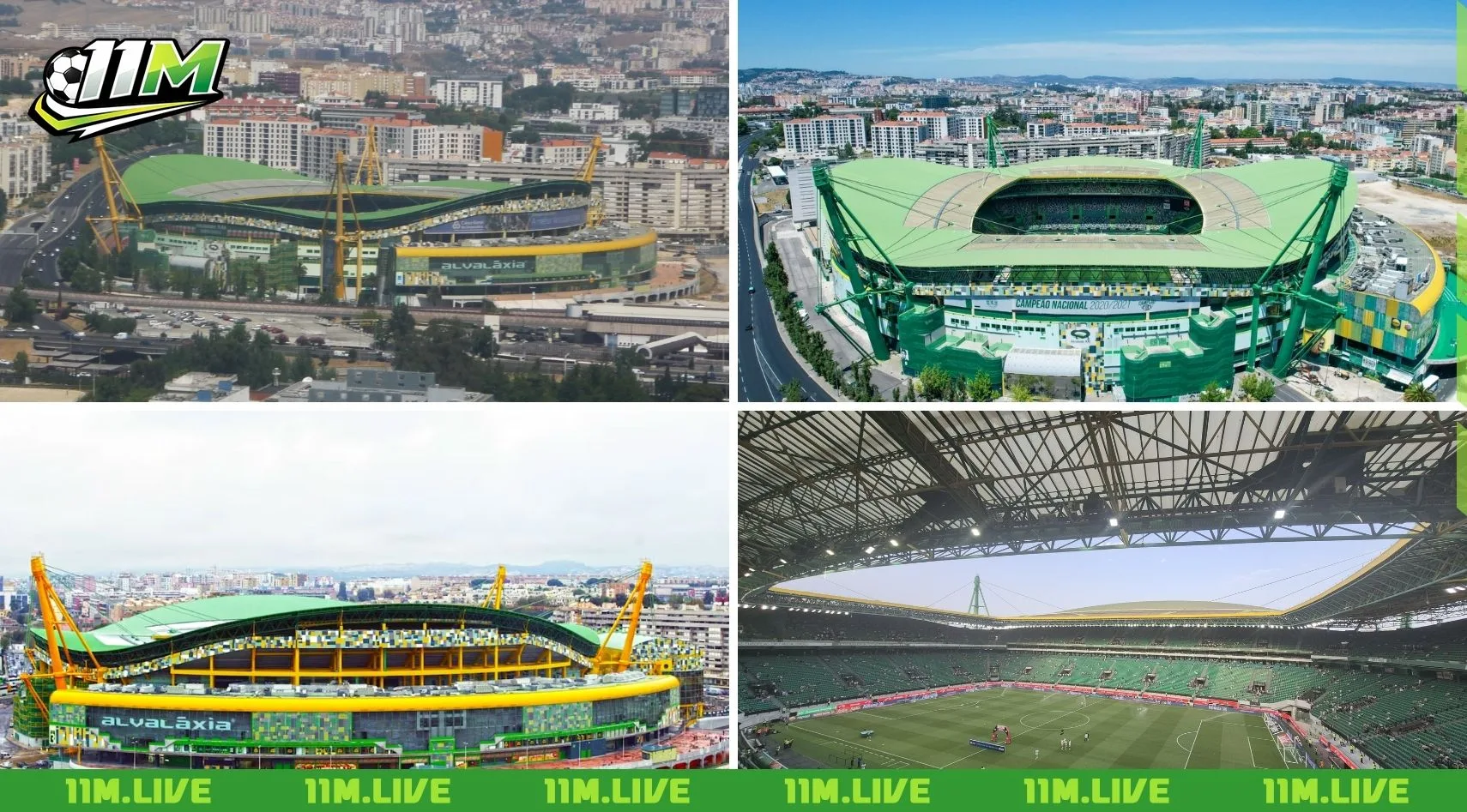 câu lạc bộ bóng đá sporting lisbon