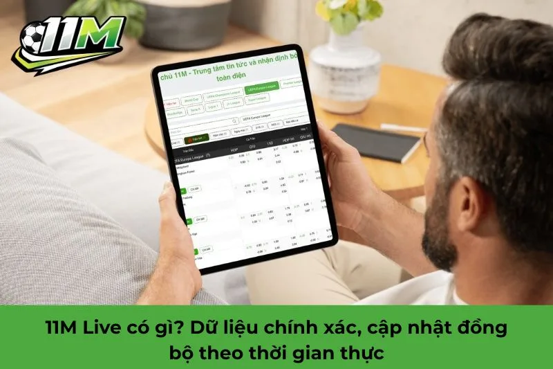 11M live là gì
