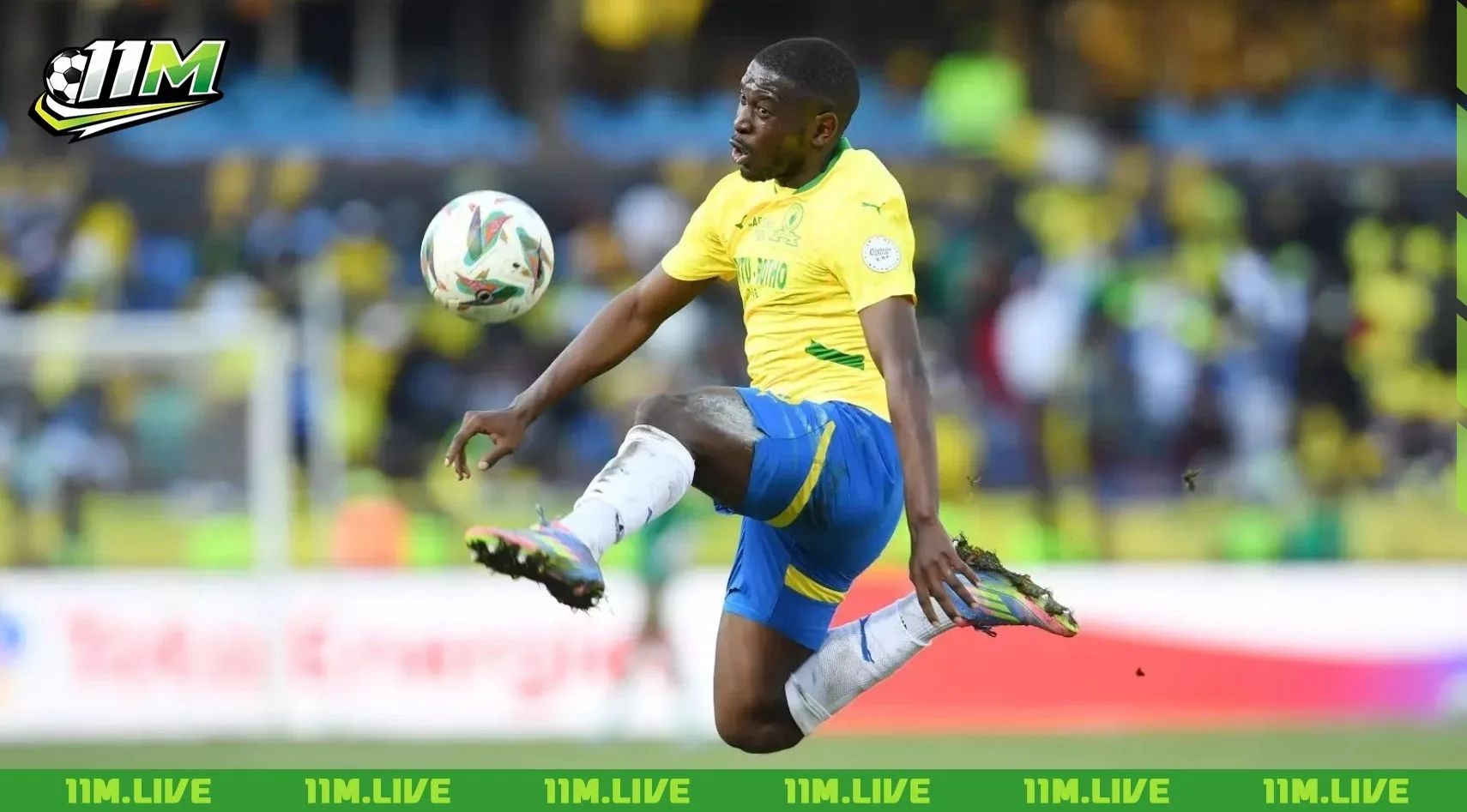 aubrey modiba