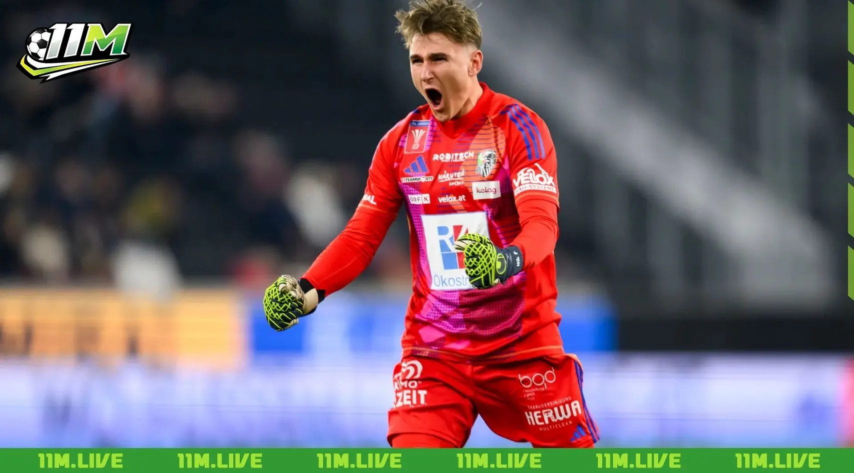nikolas polster