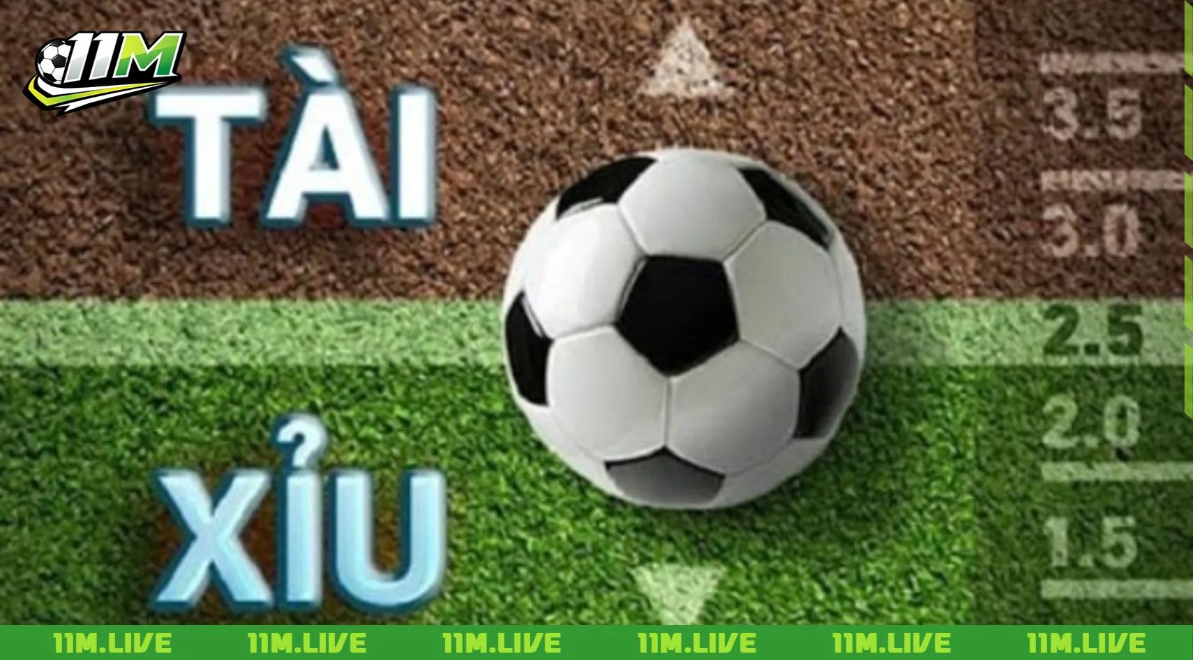 tài xỉu 2 trái
