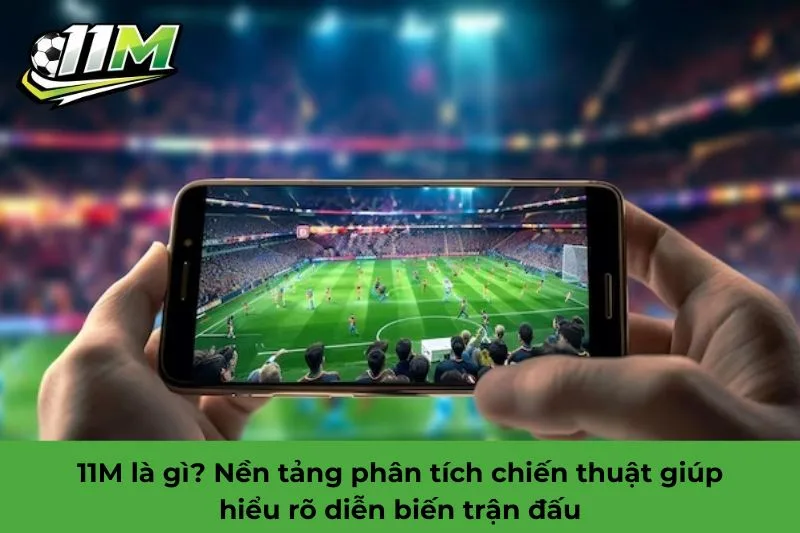 11M là gì